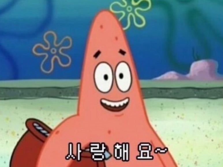 비래키키 이미지