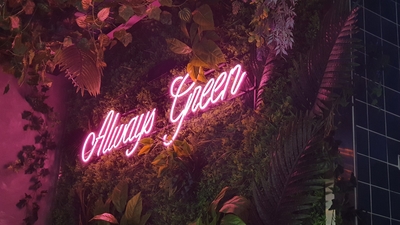 오디너리그린 이미지
