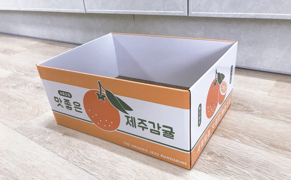 나나냥냥 이미지