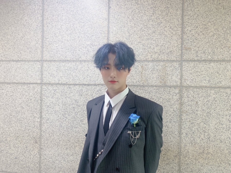 말랑콩떡 이미지