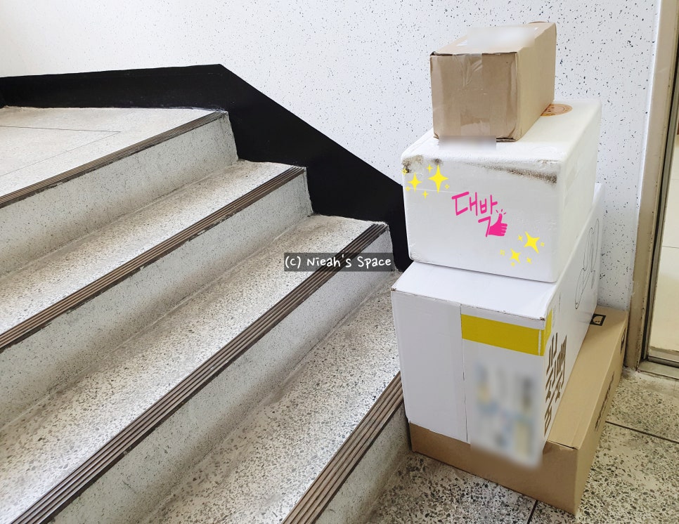궤도에오르다 이미지