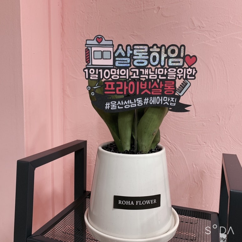 살롱하임 이미지