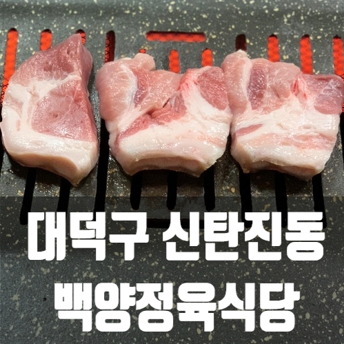 대전백양 이미지