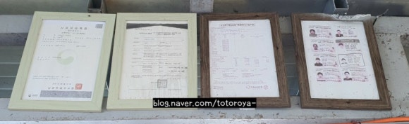 오동나무수상레저 이미지