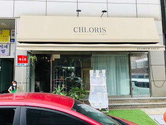클로리스플라워 이미지