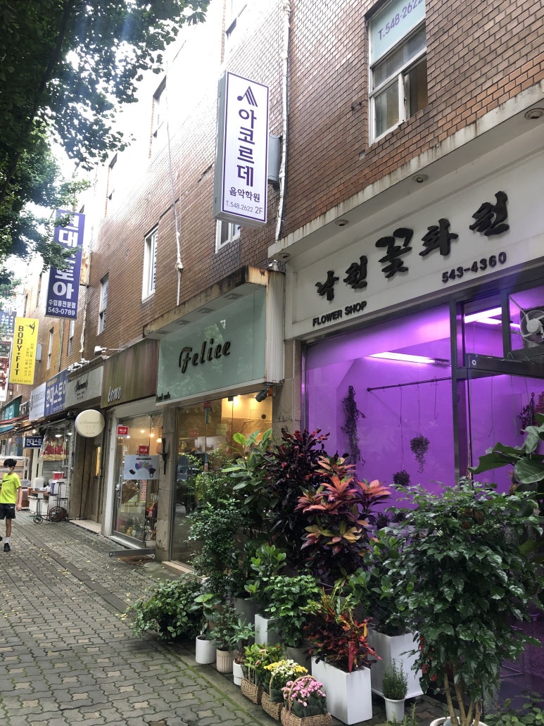 아코르데음악학원 이미지