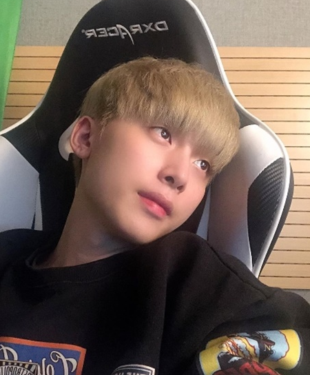사이야 이미지