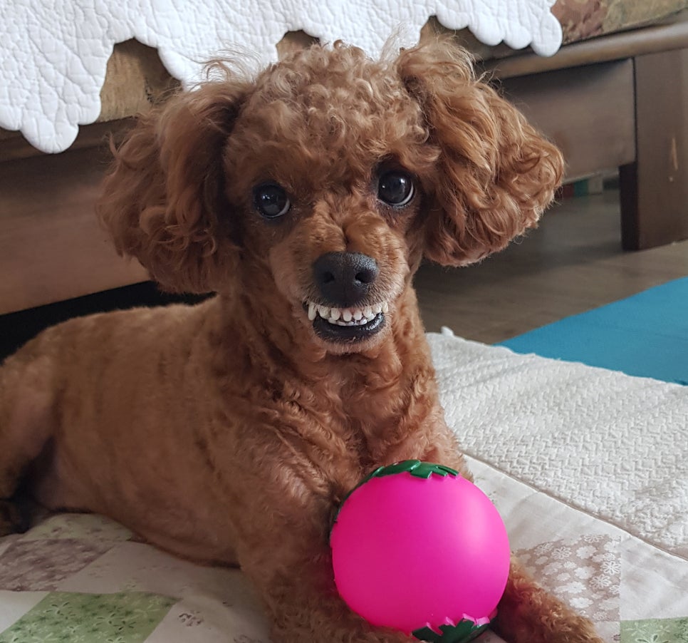 더몽드헤어 이미지