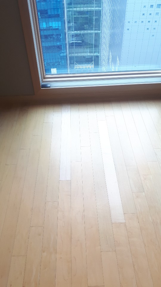 시티마루 이미지
