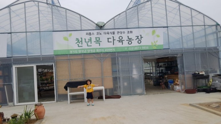 천년의빛농장 이미지