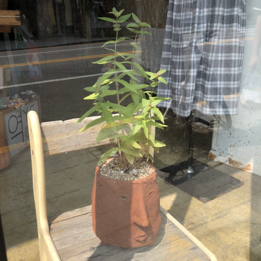 징크스빈티지 이미지