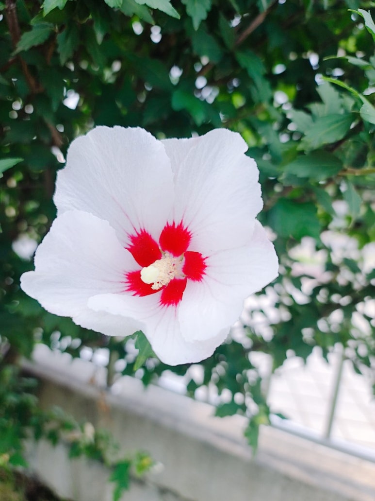 나라몰 이미지