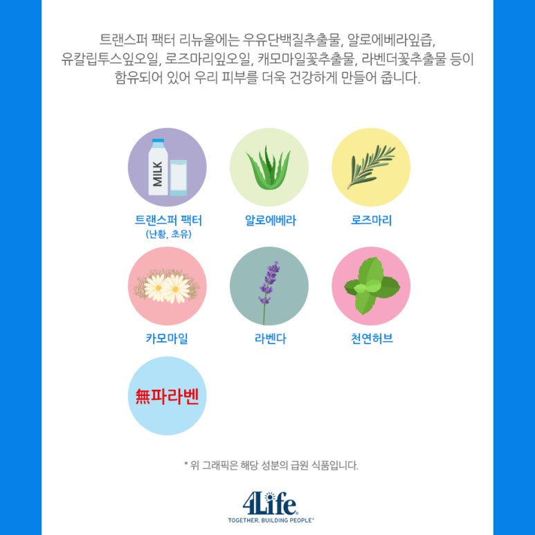 리뉴올 이미지