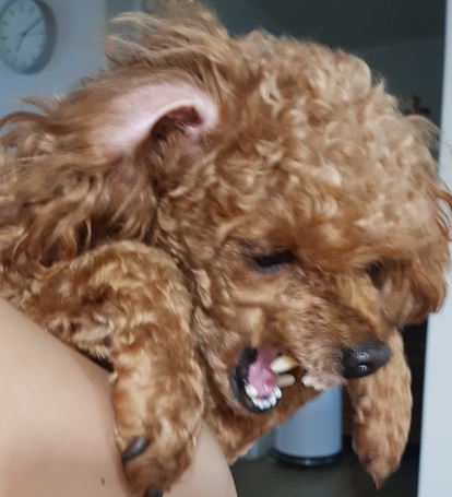 더몽드헤어 이미지
