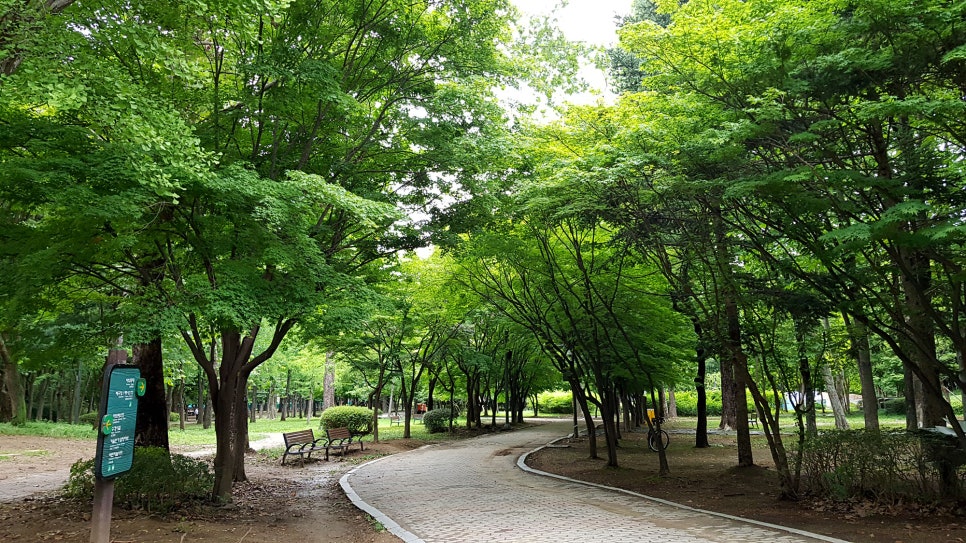 시민포차 이미지