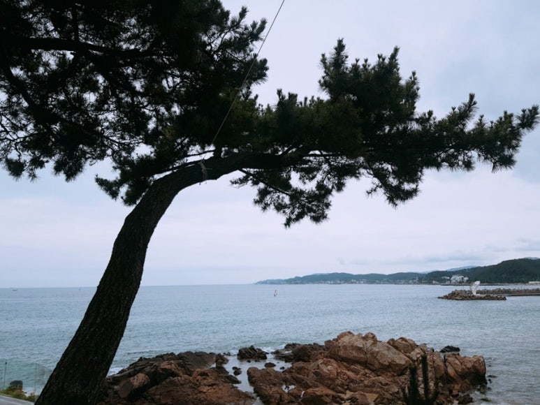 만석이용원 이미지