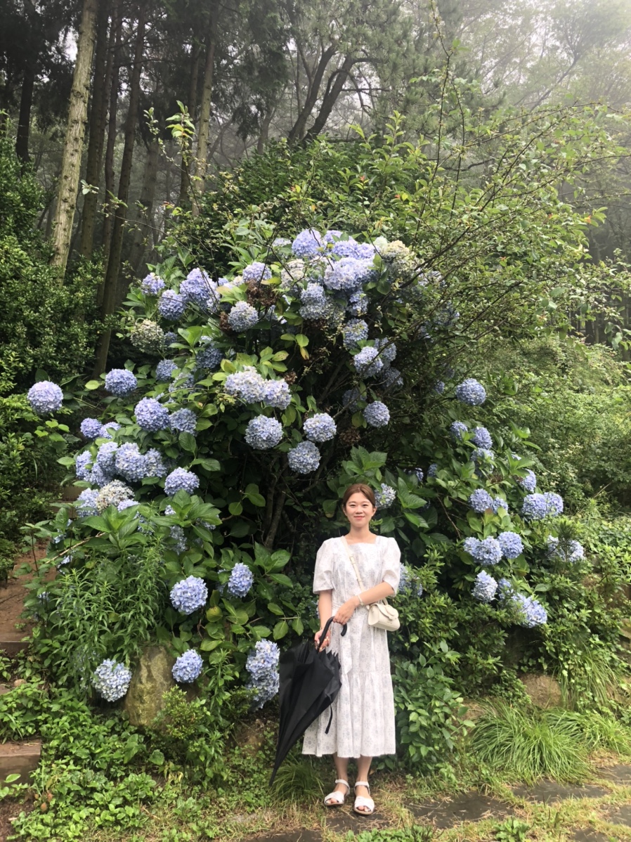 조내기고구마(주) 이미지