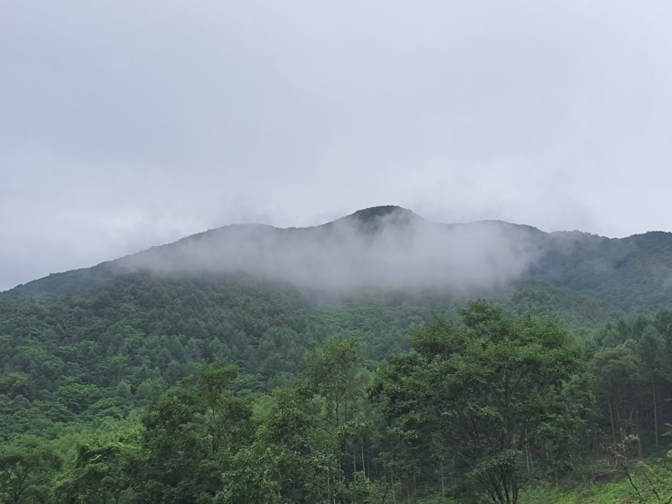 북극곰야영장 이미지
