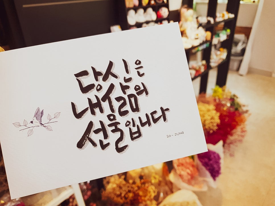 디자인 푸름 이미지