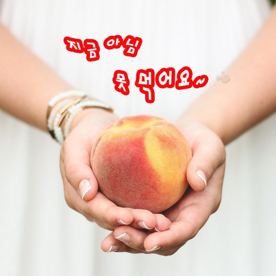 복숭아아저씨 이미지