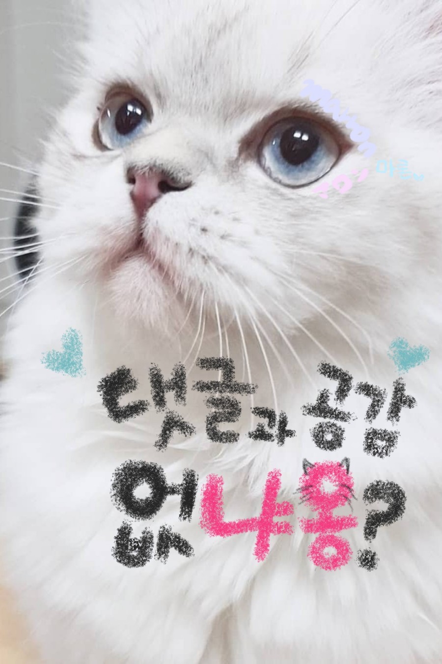 에디피아 이미지
