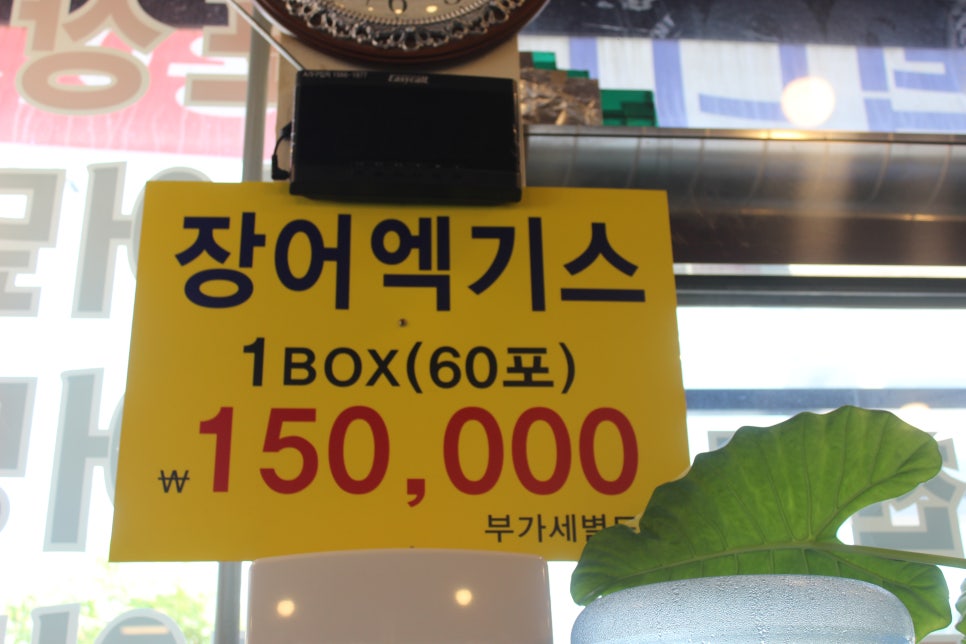동백장어 이미지