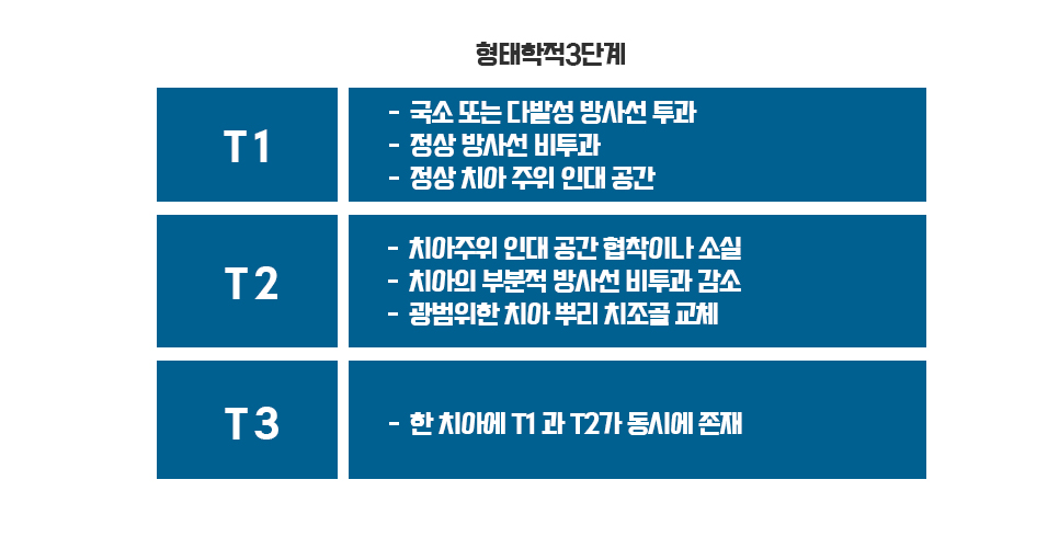 탑케어 이미지