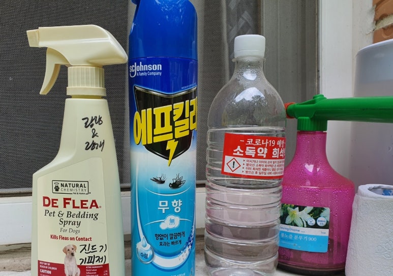 랑개 이미지