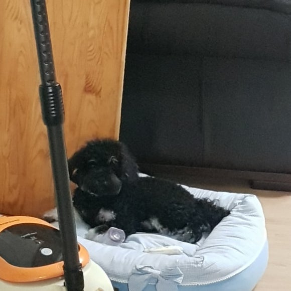 대림셀프세차타운 이미지