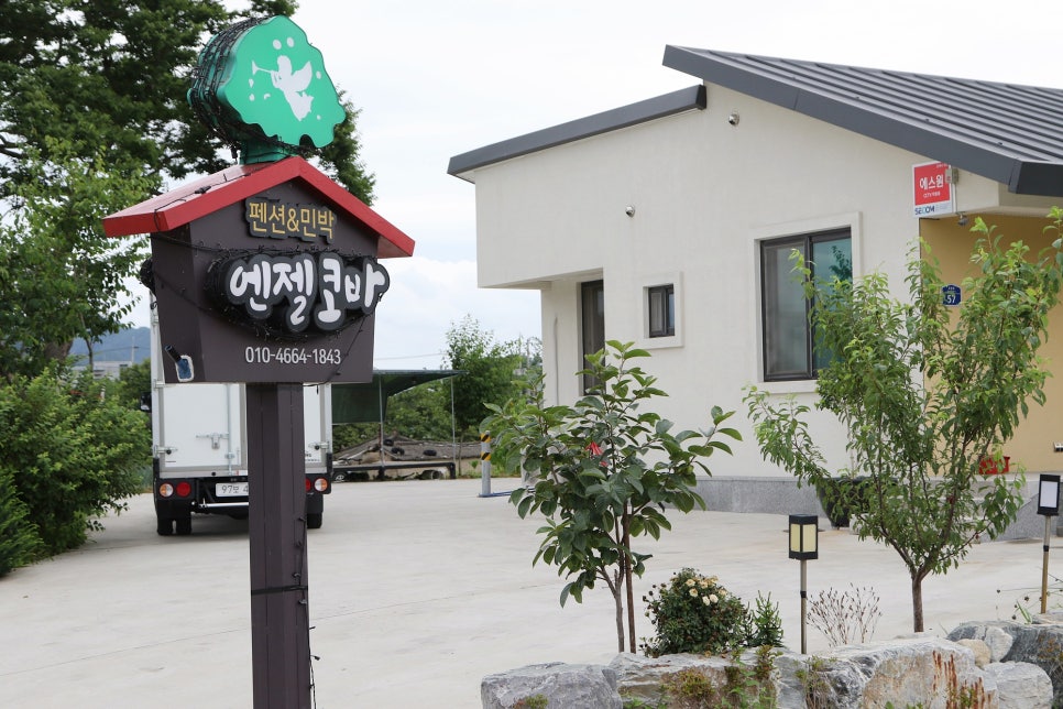 엔젤코바 이미지