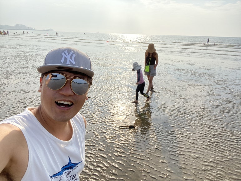 브리꼴라주 이미지