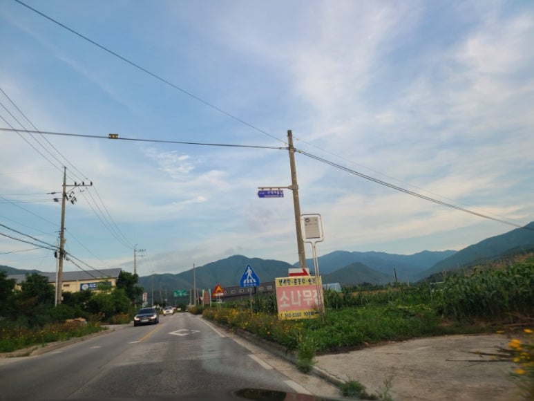 왕성모터스 이미지
