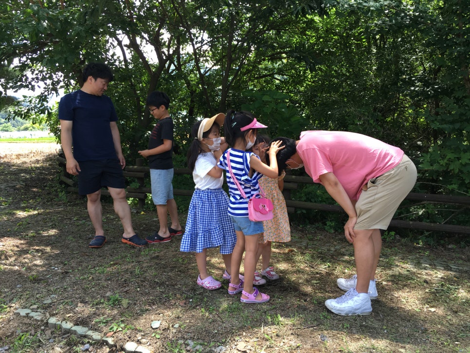 솔밭민박 이미지