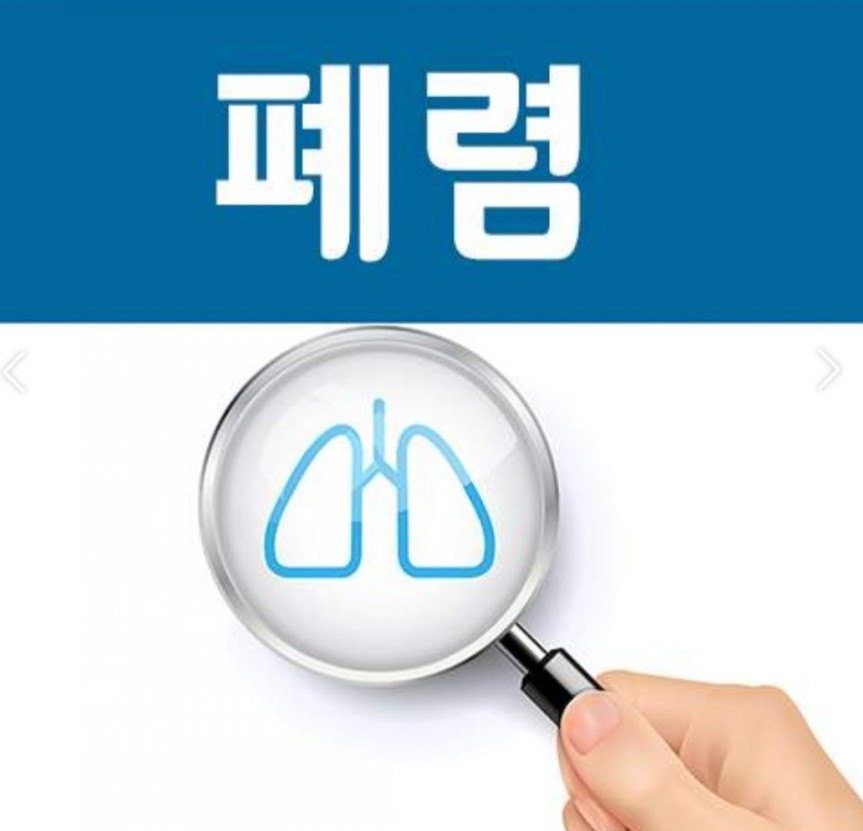 다온정보 이미지