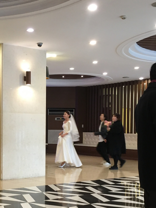 킴앤장 이미지