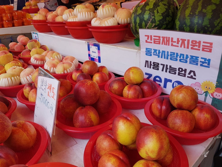 푸른청과 이미지