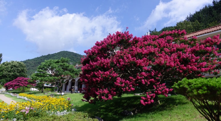 경북환경 이미지