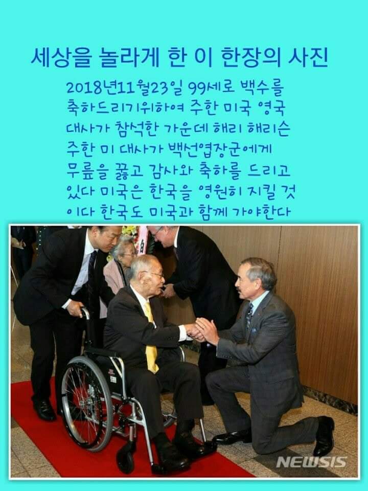 마이클린 이미지