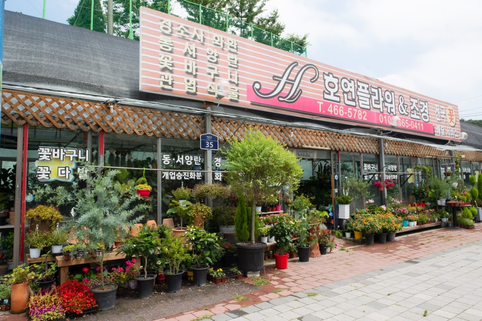 호연플라워 이미지