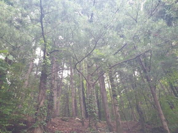 적목리신앙공동체유적지 이미지
