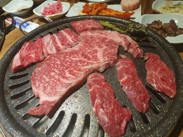 세계축산유통 이미지