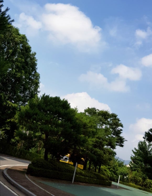 홍짜장군포삼성 이미지