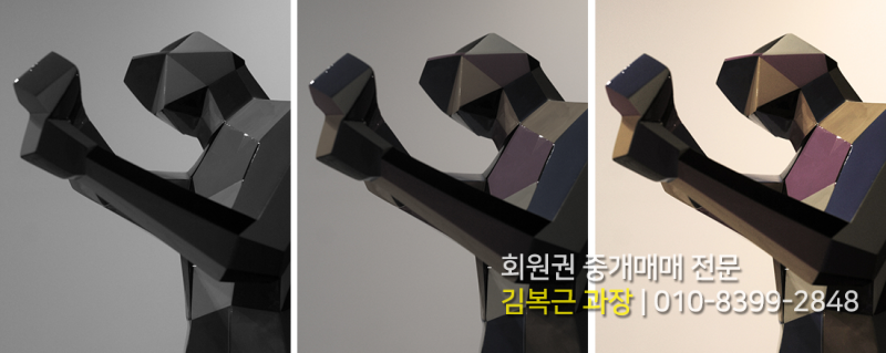 태인스포츠 이미지
