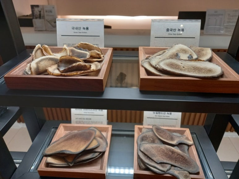 편강도원 이미지