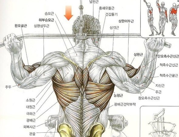 다운다방 이미지