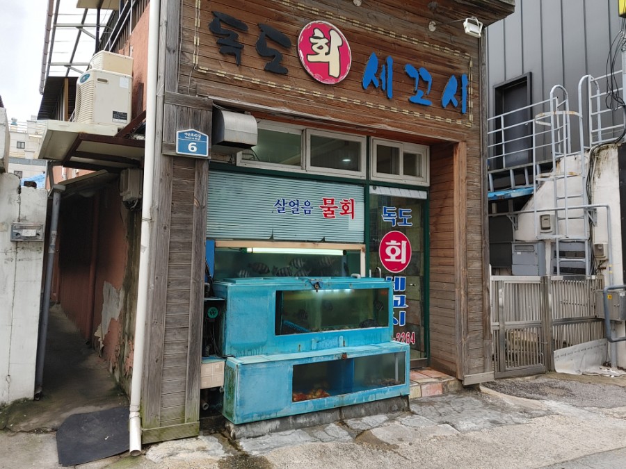 독도회세꼬시 이미지