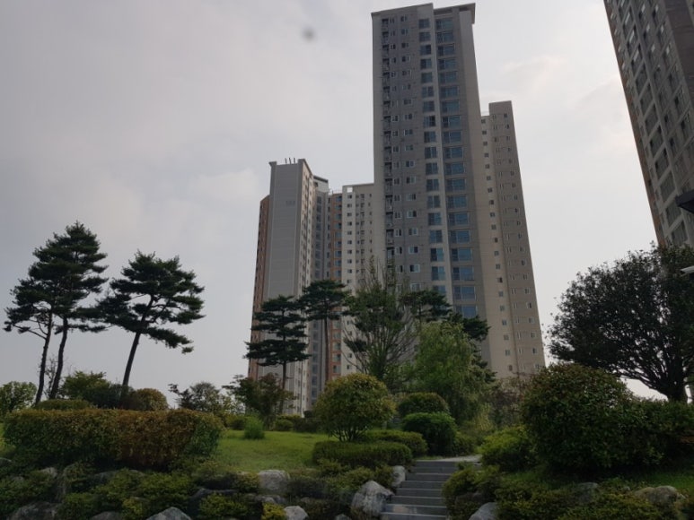 엘가음악교습소 이미지
