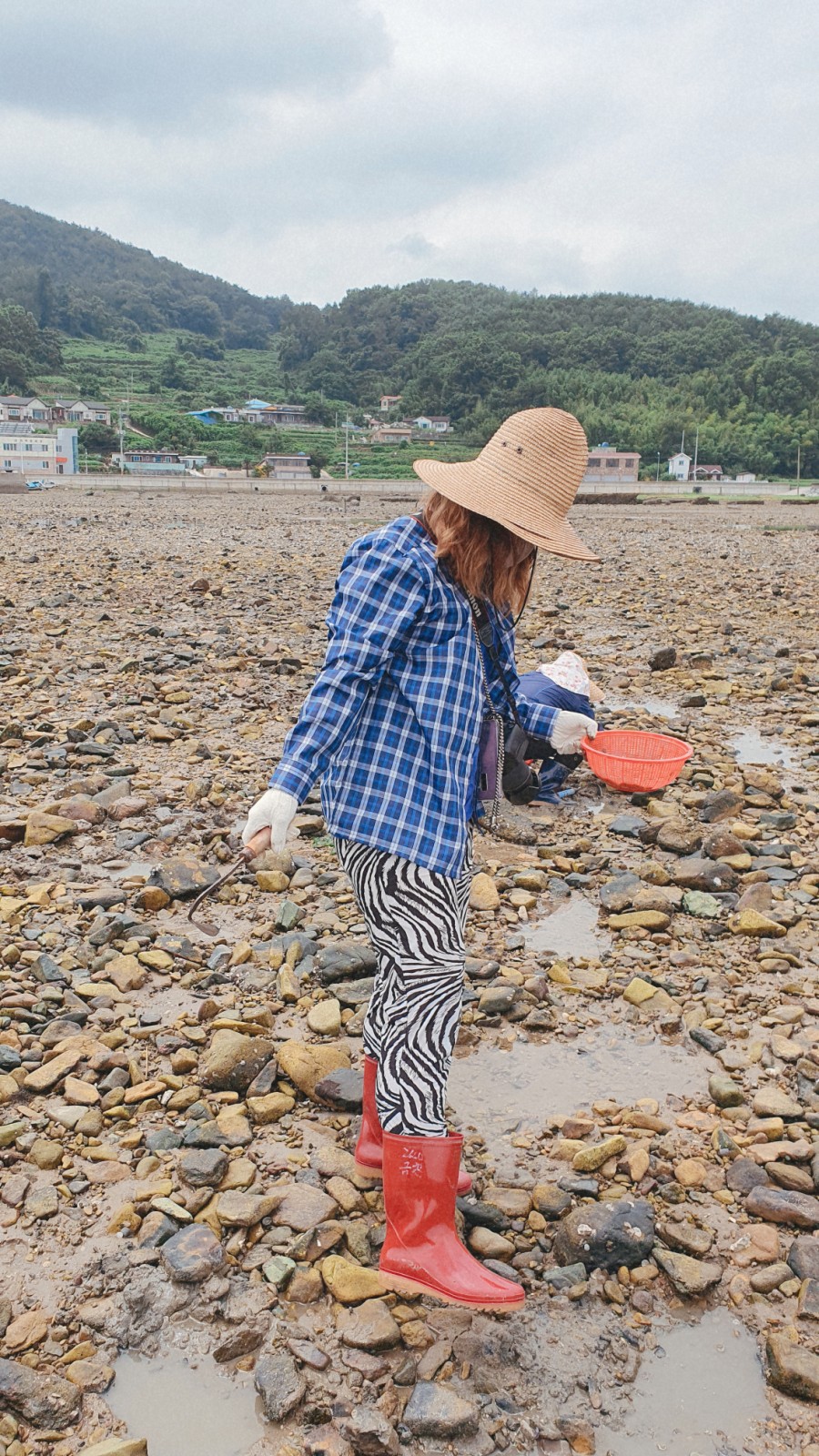 고동마을칼국수 이미지