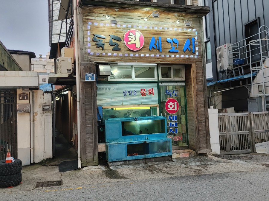 독도회세꼬시 이미지