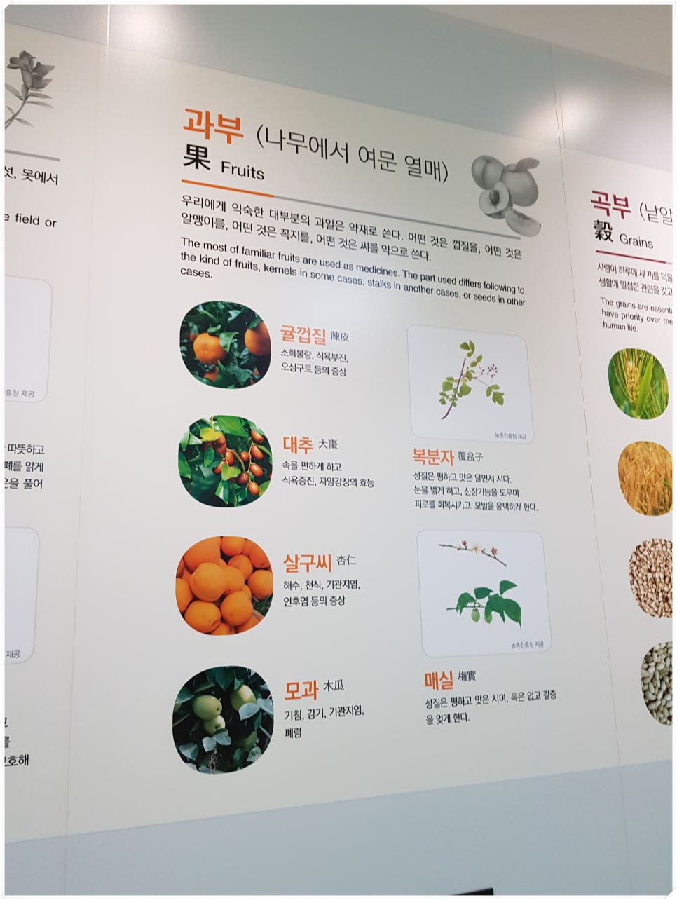 성보한의원 이미지